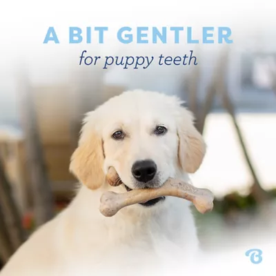 Benebone® Wishbone Bacon Chew Toy - Image 5