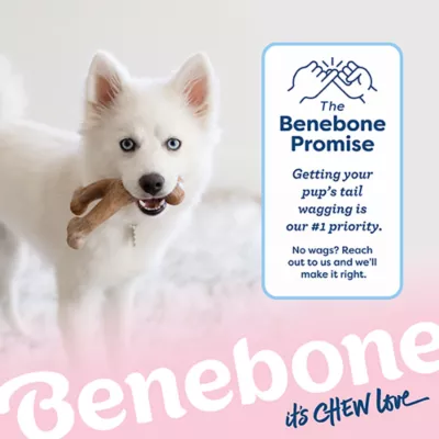 Benebone® Wishbone Bacon Chew Toy - Image 8