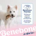 Benebone® Wishbone Bacon Chew Toy image thumbnail 8