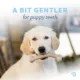 Product Benebone® Wishbone Bacon Chew Toy