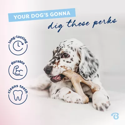 Product Benebone® Wishbone Bacon Chew Toy