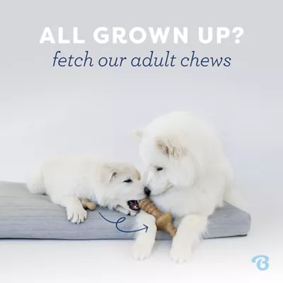 Product Benebone® Wishbone Bacon Chew Toy