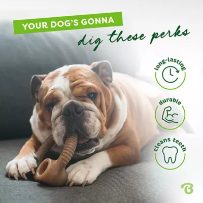Product Benebone® Ring Shape Dog Chew Toy Bacon Flavor