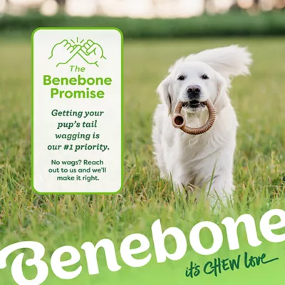 Product Benebone® Ring Shape Dog Chew Toy Bacon Flavor