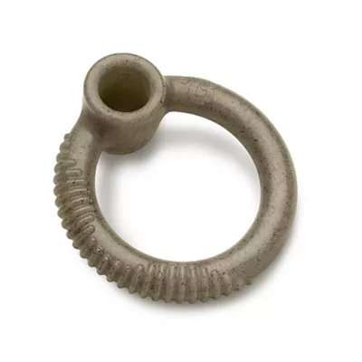 Product Benebone® Peppermint Ring Shape Dog Chew Toy