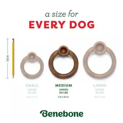Product Benebone® Peppermint Ring Shape Dog Chew Toy