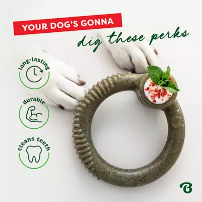 Product Benebone® Peppermint Ring Shape Dog Chew Toy