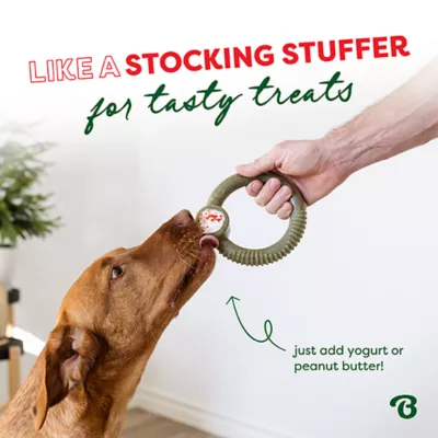 Product Benebone® Peppermint Ring Shape Dog Chew Toy