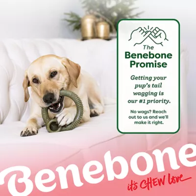 Product Benebone® Peppermint Ring Shape Dog Chew Toy