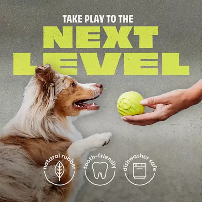 Product Benebone® Natural Rubber Ball
