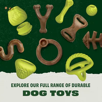 Product Benebone® Natural Rubber Bone Medium Size