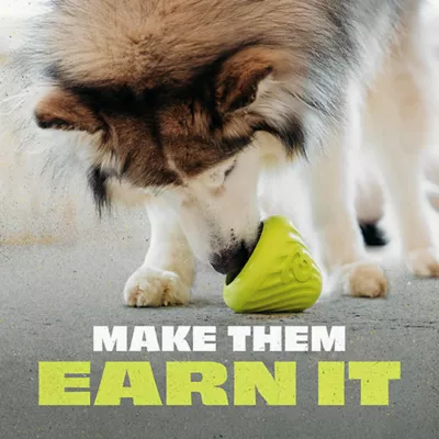 Product Benebone® Natural Rubber Cone Dog Toy