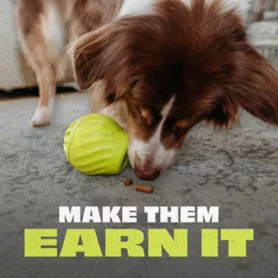 Product Benebone® Natural Rubber Pawbler Dog Toy