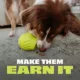 Product Benebone® Natural Rubber Pawbler Dog Toy