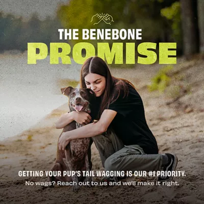 Product Benebone® Natural Rubber Pawbler Dog Toy