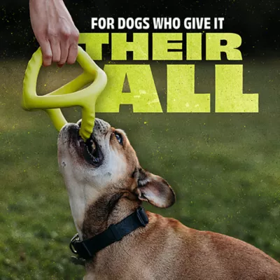 Product Benebone® Natural Rubber Tug Toy