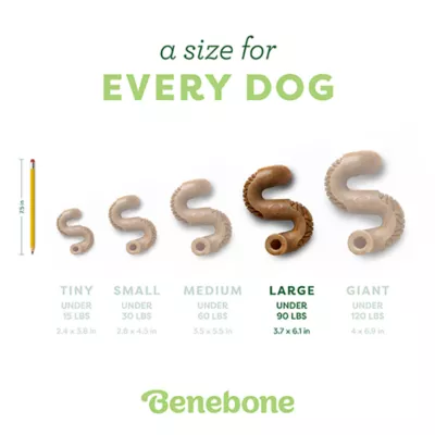 Product Benebone® Beef Tripe Large Dog Chew Toy