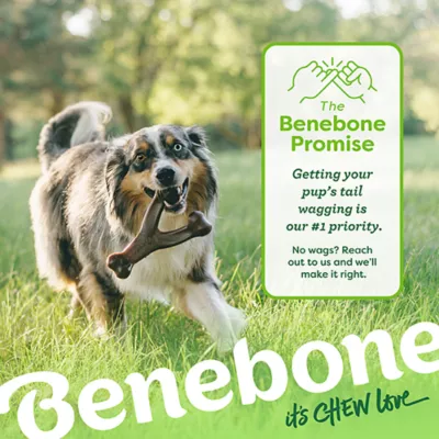 Benebone® Wishbone Dog Chew Giant Toy- Bacon, Chicken or Peanut Flavor - Image 8