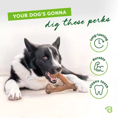 Product Benebone® Wishbone Dog Chew Giant Toy- Bacon, Chicken or Peanut Flavor