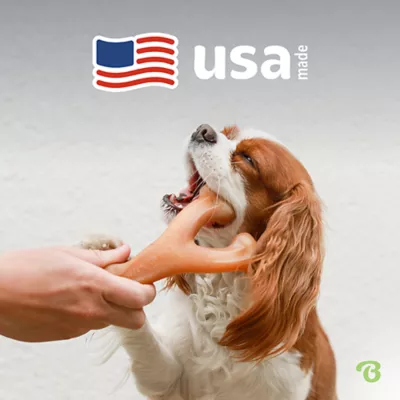 Product Benebone® Wishbone Dog Chew Giant Toy- Bacon, Chicken or Peanut Flavor