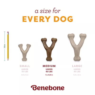 Product Benebone® Pumpkin Spice Wishbone Dog Chew Toy