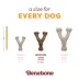 Benebone® Pumpkin Spice Wishbone Dog Chew Toy image thumbnail 4
