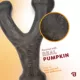 Product Benebone® Pumpkin Spice Wishbone Dog Chew Toy