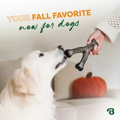 Product Benebone® Pumpkin Spice Wishbone Dog Chew Toy