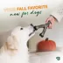 Benebone® Pumpkin Spice Wishbone Dog Chew Toy image thumbnail 7