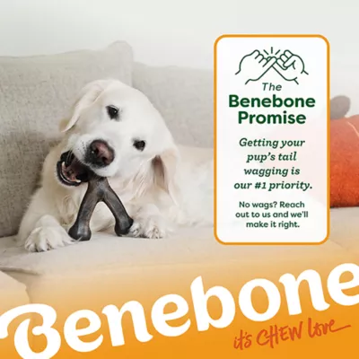 Product Benebone® Pumpkin Spice Wishbone Dog Chew Toy