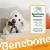 Benebone® Pumpkin Spice Wishbone Dog Chew Toy image thumbnail 8