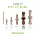 Benebone® Zaggler Bacon Flavor Chew Dog Toy image thumbnail 4