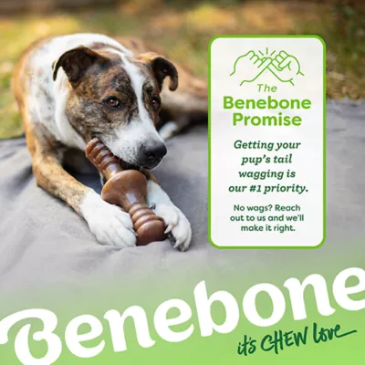 Benebone® Zaggler Bacon Flavor Chew Dog Toy - Image 8