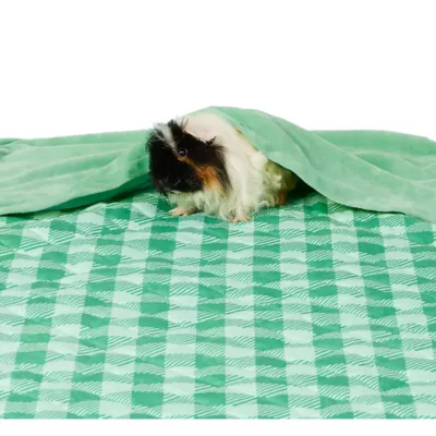 Full Cheeks® Small Pet Comfy Habitat Liner - Image 1