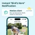 Birdfy Smart Bird Feeder with Solar Panel and Lifetime AI image thumbnail 5