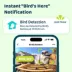 Birdfy Bamboo Smart Bird Feeder with Solar Panel image thumbnail 3