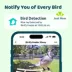 Birdfy Smart Feeder Ebony image thumbnail 3