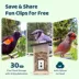 Birdfy Smart Feeder Ebony image thumbnail 5