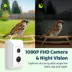 Birdfy Smart Feeder Ebony image thumbnail 7
