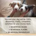 Merrick Limited Ingredient Diet Dry Dog Food- Natural, Healthy Grains, Chicken & Brown Rice image thumbnail 6