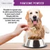 Chew + Heal Dog Stop The Scoot Anal Gland Supplement Powder, Natural Fiber Blend, 5.4 oz, 14 oz image thumbnail 4