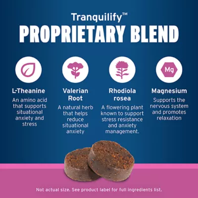 Product Pet Protect Calming Fast Acting Soft Chews for Dogs, 60 Count