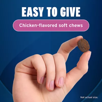 Product Pet Protect Calming Fast Acting Soft Chews for Dogs, 60 Count