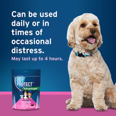 Product Pet Protect Calming Fast Acting Soft Chews for Dogs, 60 Count