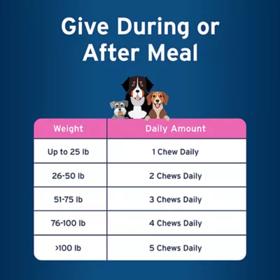 Product Pet Protect Calming Fast Acting Soft Chews for Dogs, 60 Count