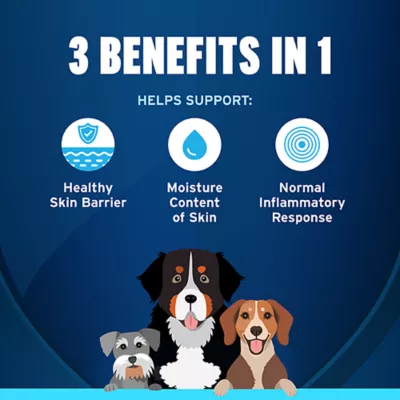 Product Pet Protect Skin Health Supplement for Dogs, Soft Chews, 60 Count