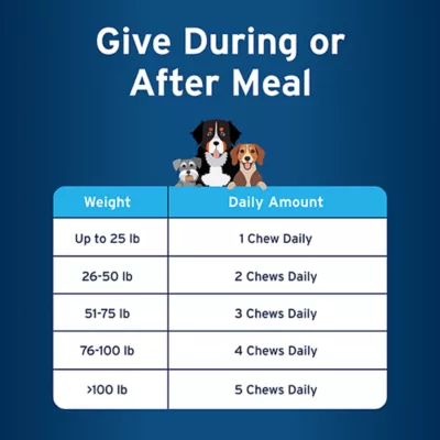 Product Pet Protect Skin Health Supplement for Dogs, Soft Chews, 60 Count