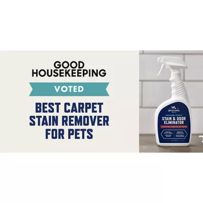 Product Rocco & Roxie Dog Oxy Stain & Odor 32 oz