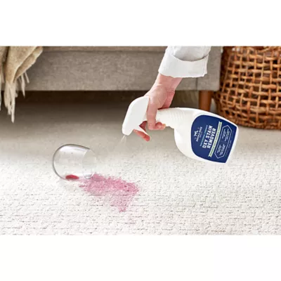 Product Rocco & Roxie Dog Oxy Stain & Odor 32 oz