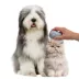 Nice Paws Spray Mist Pet Grooming Brush image thumbnail 2